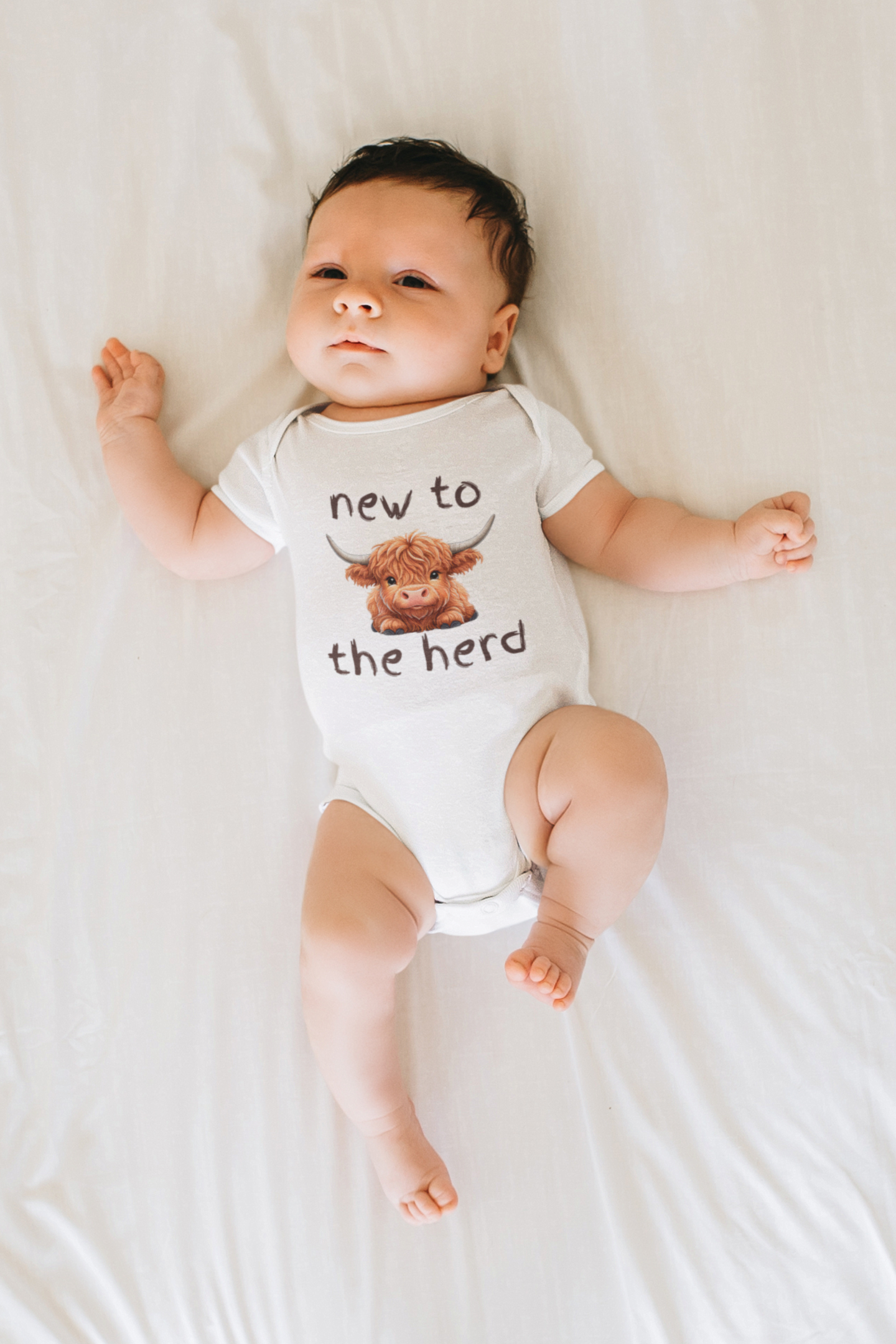 New To The Herd